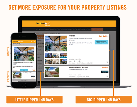 Listing Packages
